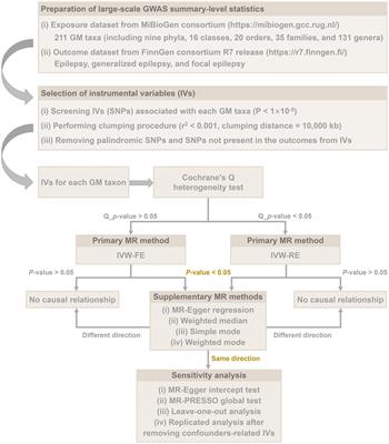 Roles of gut microbiome in epilepsy risk: A Mendelian randomization study